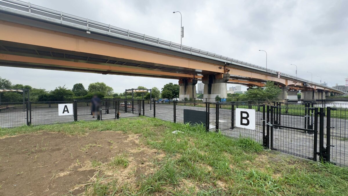 荒川岩淵関緑地ドッグラン