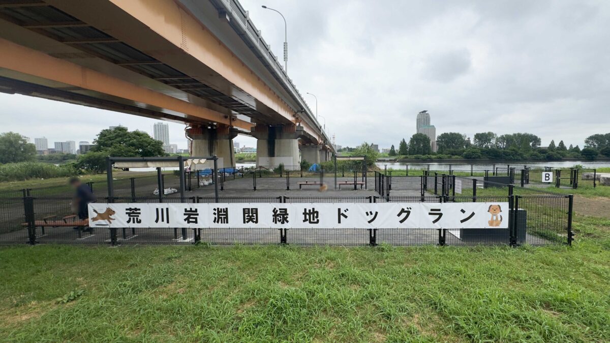 荒川岩淵関緑地ドッグラン