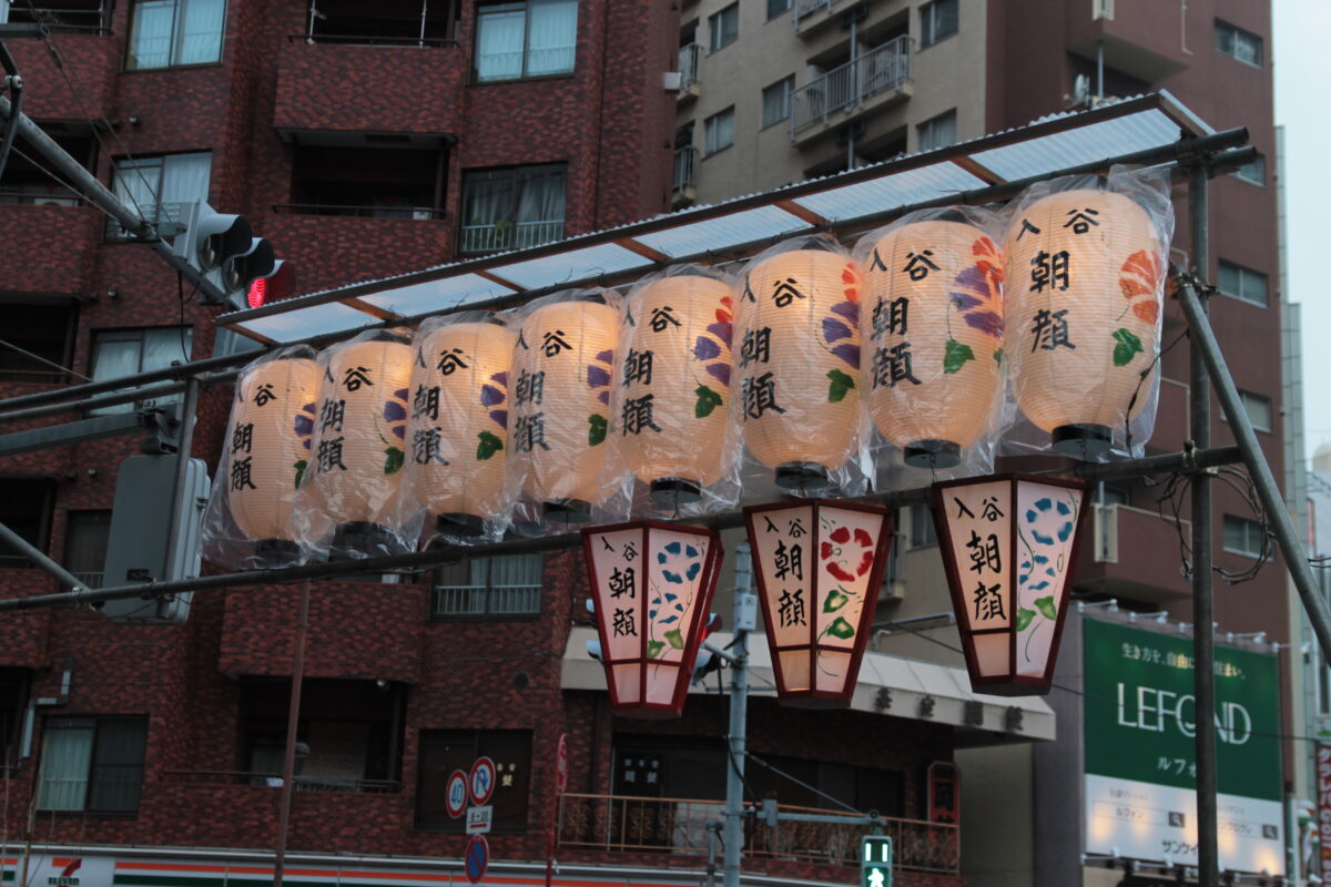 入谷朝顔まつり