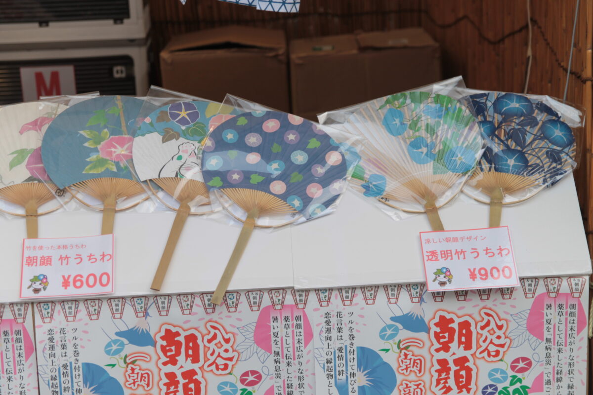 入谷朝顔まつり