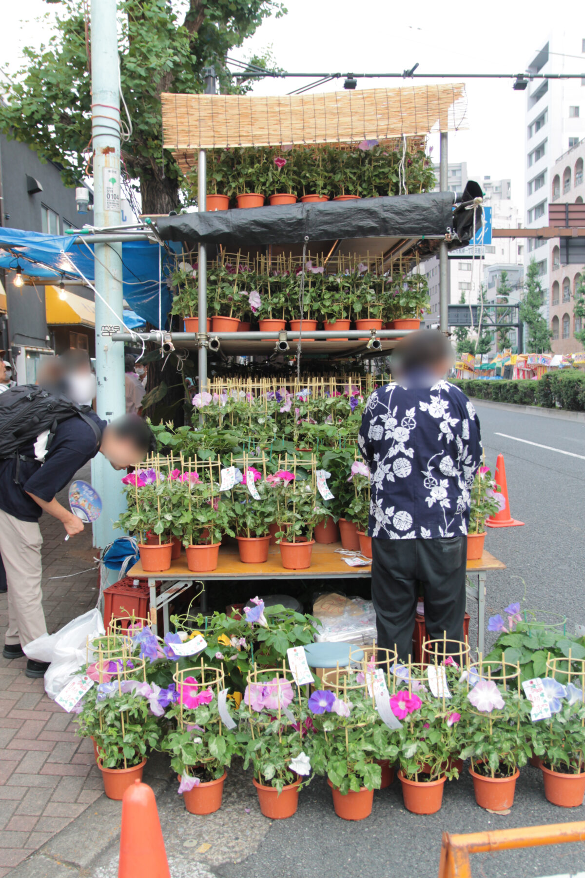 入谷朝顔まつり