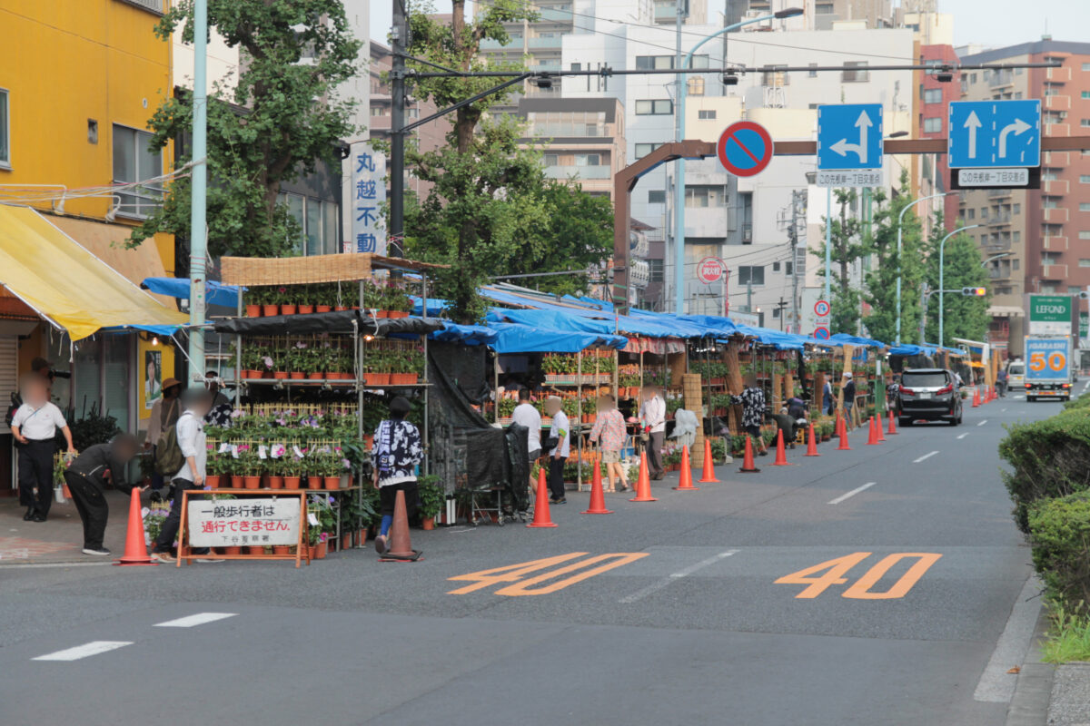 入谷朝顔まつり