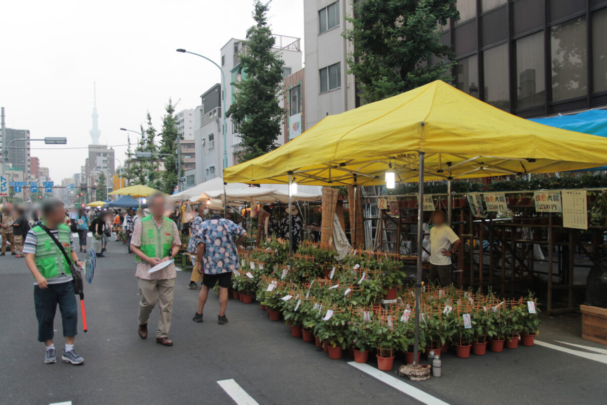 入谷朝顔まつり