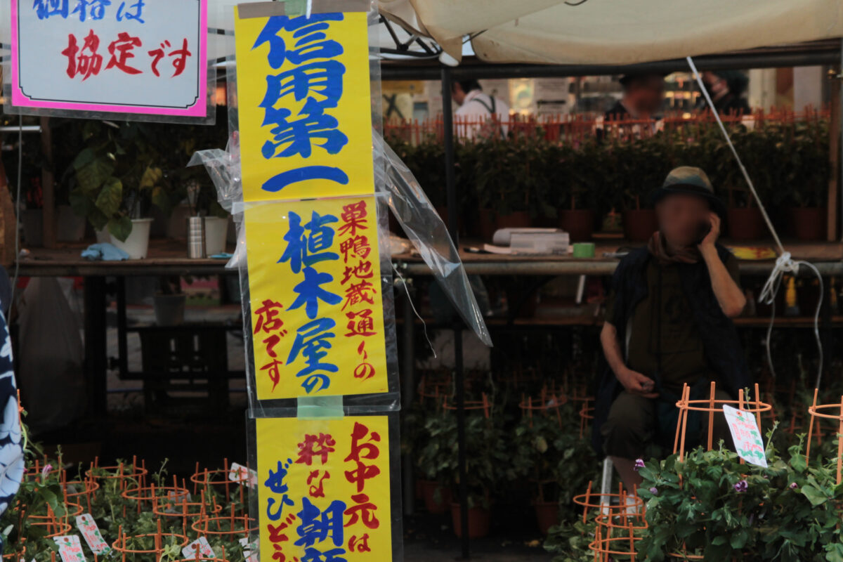 入谷朝顔まつり