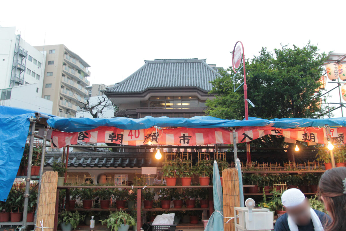 入谷朝顔まつり