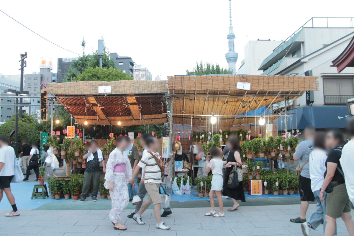 浅草ほおずき市