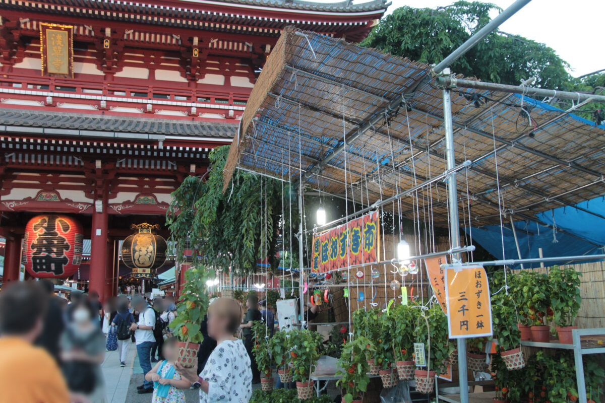 浅草ほおずき市
