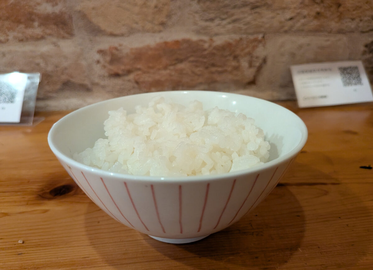 王子 牛タンバーグ 誠