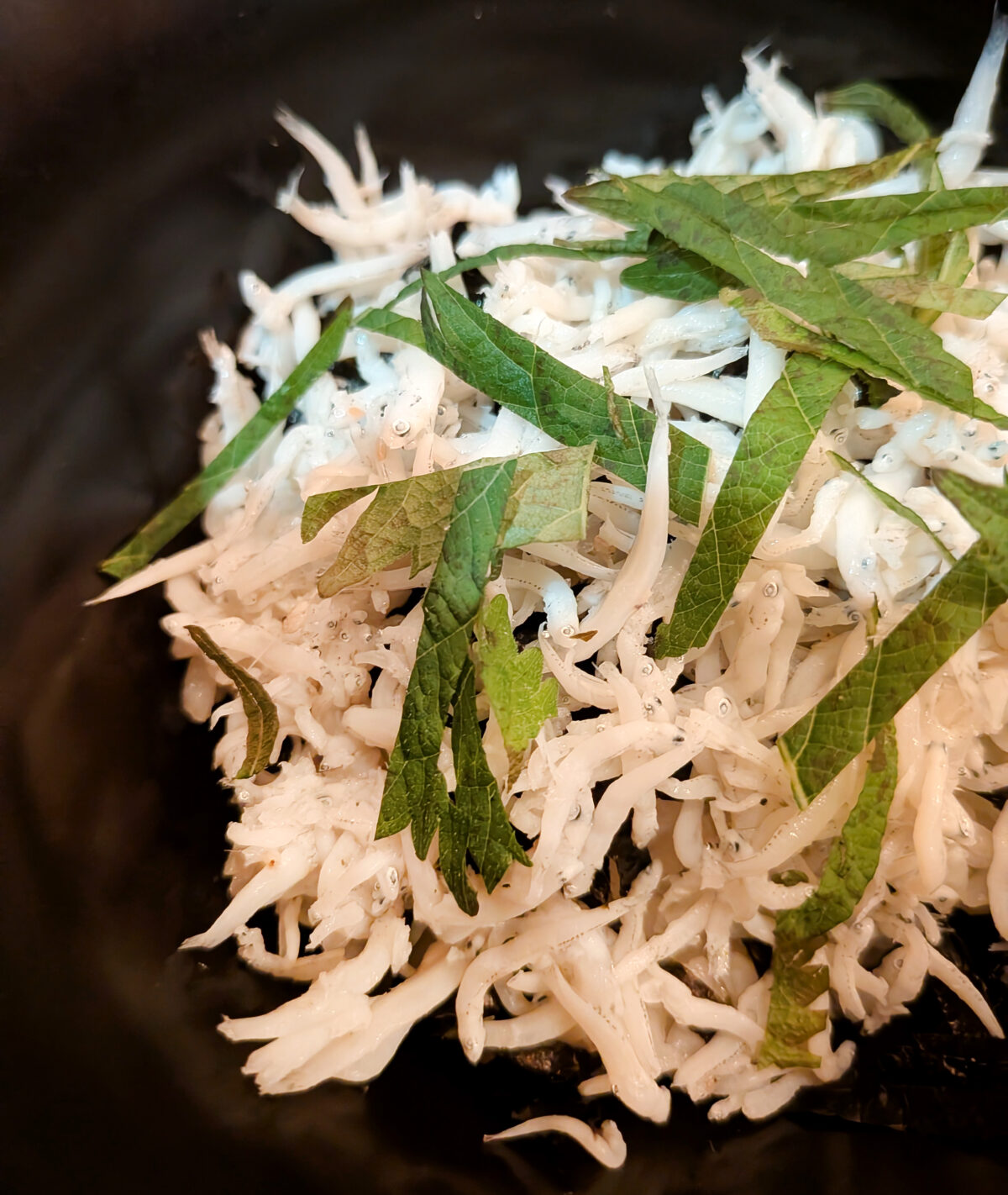 王子 居酒屋「みちしるべ」