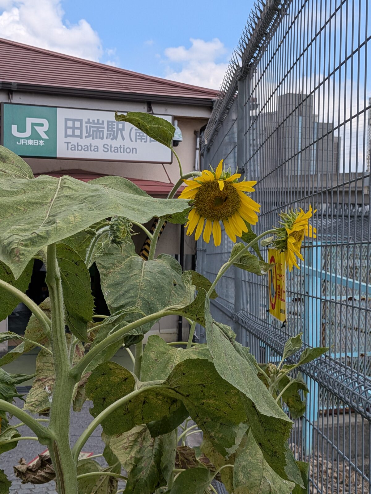 田端駅南口