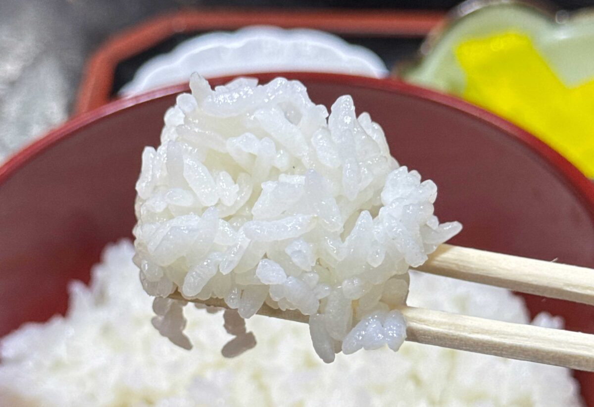 東十条 川源