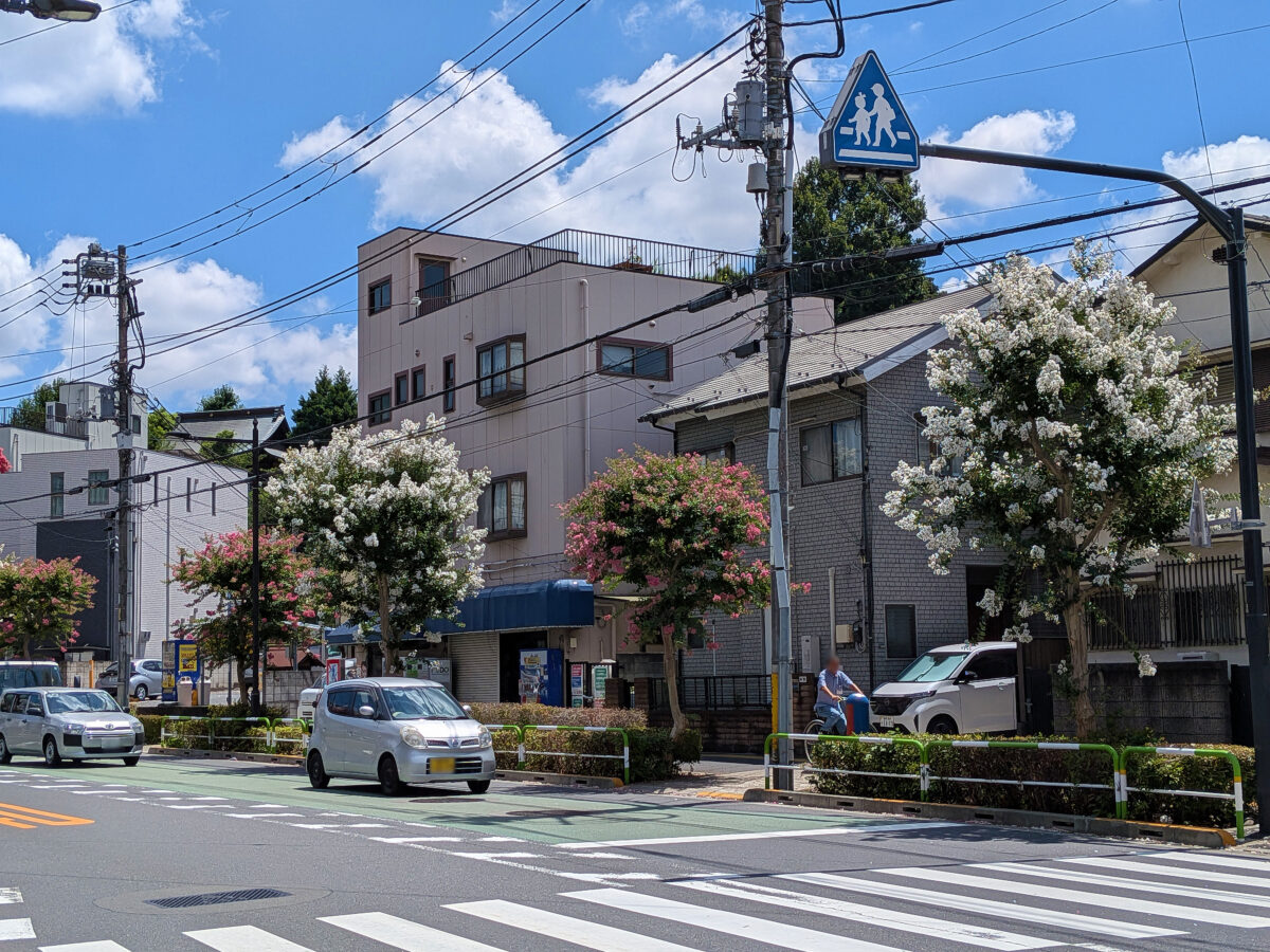 諏訪神社付近の赤羽並木通りの百日紅