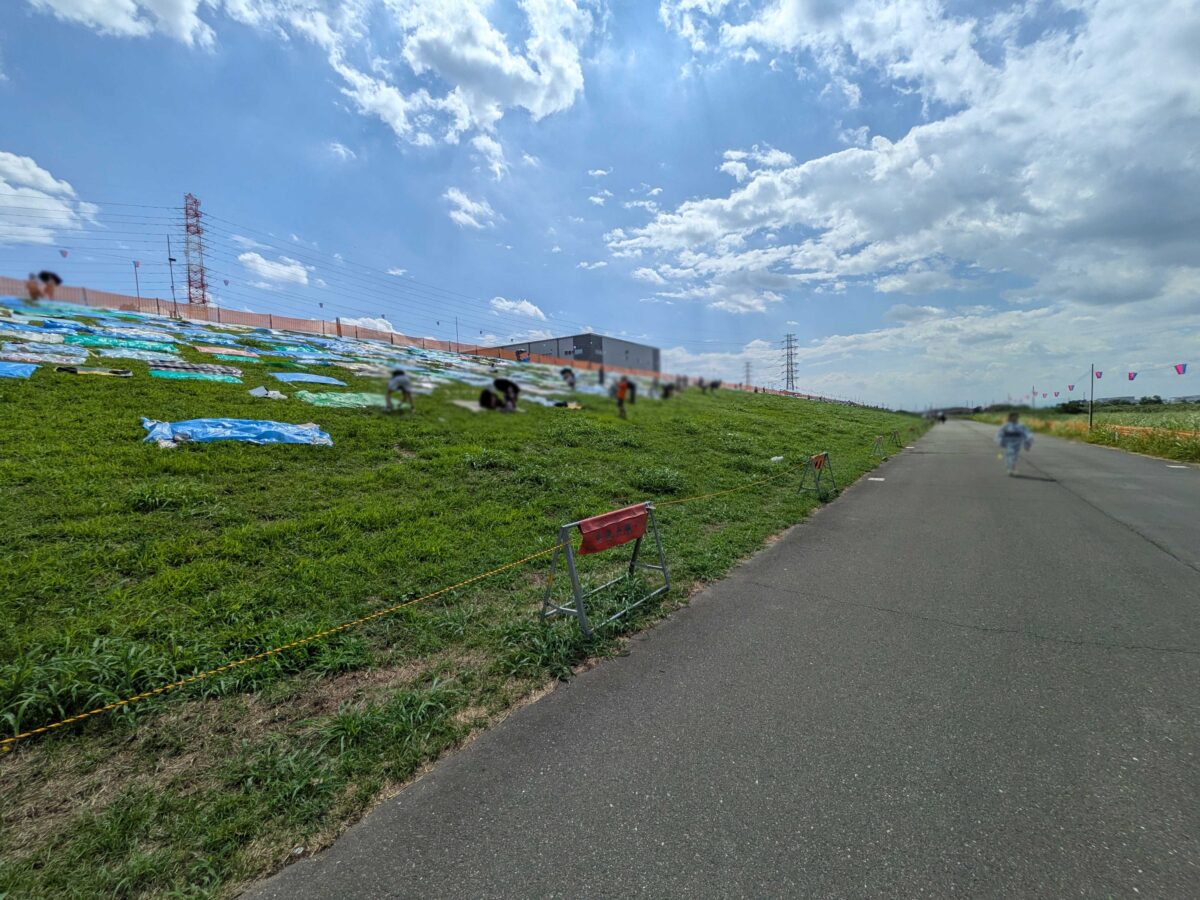 いたばし花火大会一般席4エリアあたり