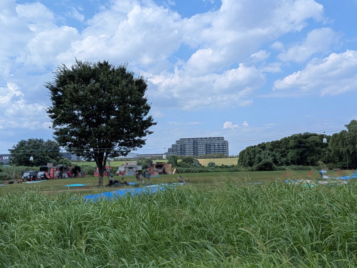 いたばし花火大会一般席4エリアあたり