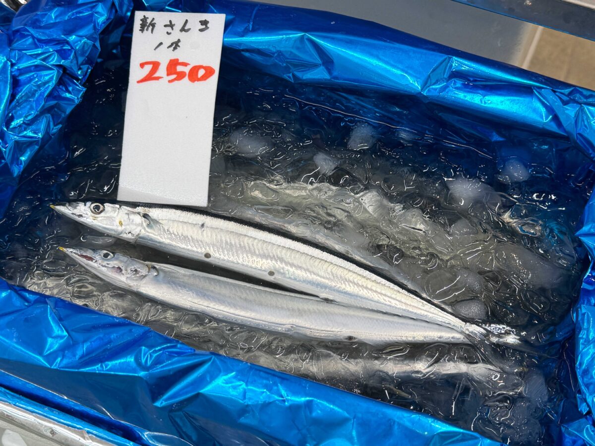赤羽ララガーデン 魚要