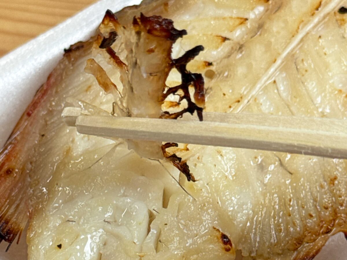赤羽ララガーデン魚要