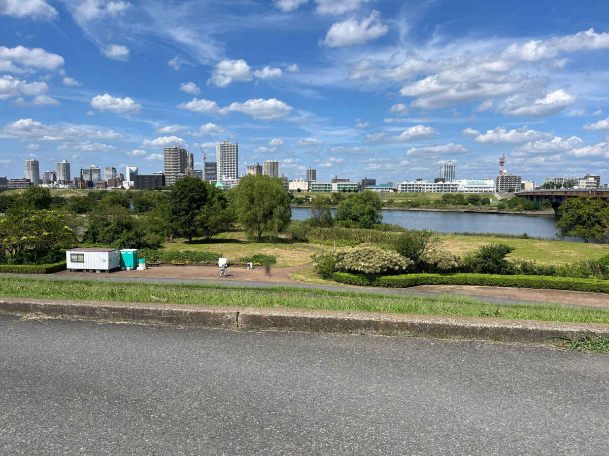 荒川 土手 彼岸花