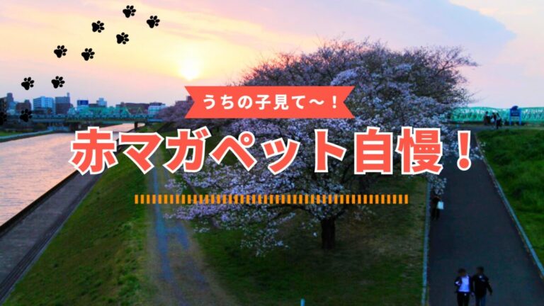 赤マガペット