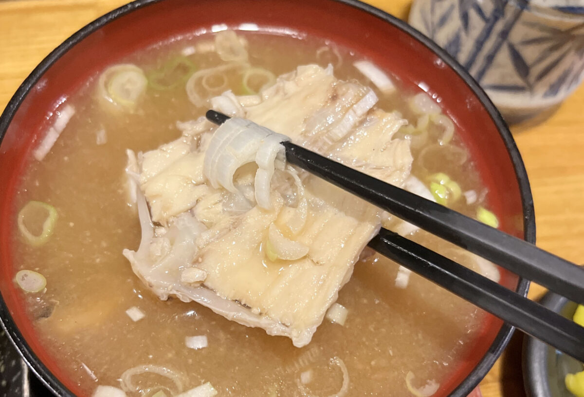 王子 狸