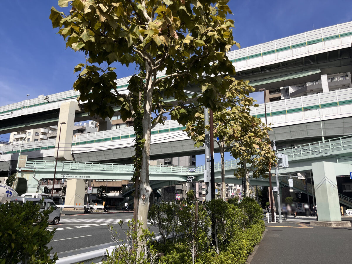 王子 溝田橋