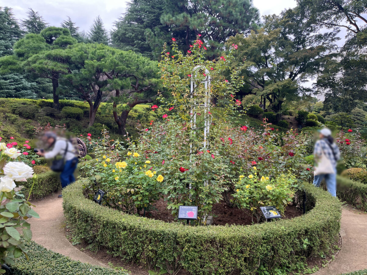 西ヶ原 旧古河庭園