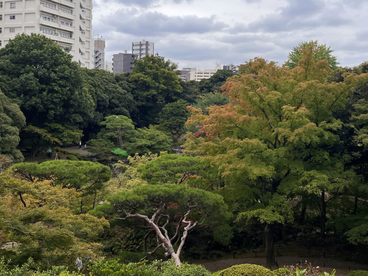 西ヶ原 旧古河庭園