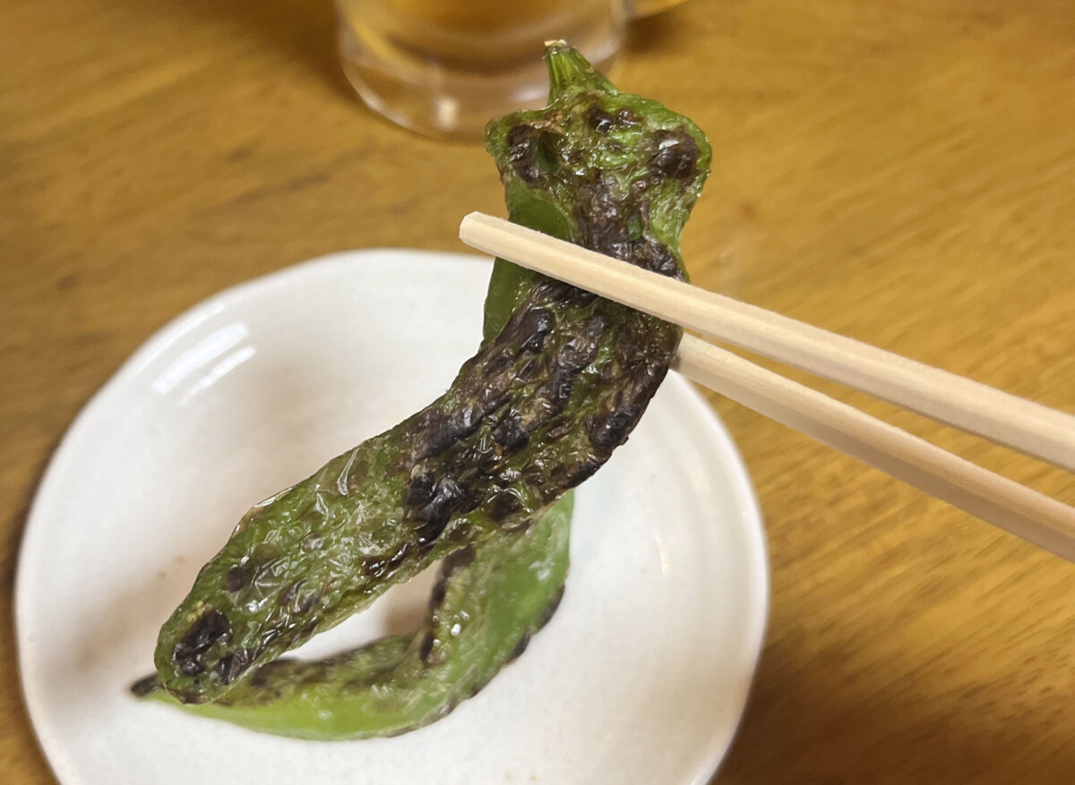 堀船 こたつ屋 22're born