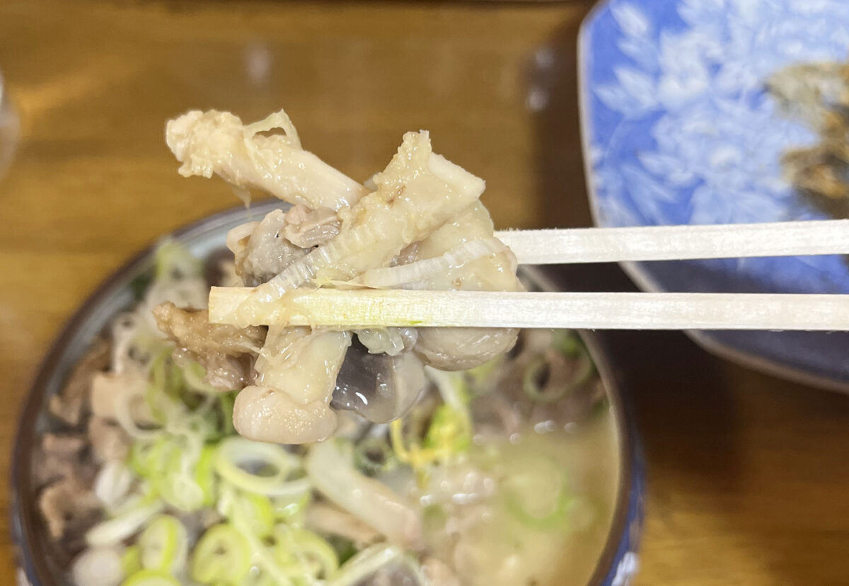 堀船 こたつ屋 22're born