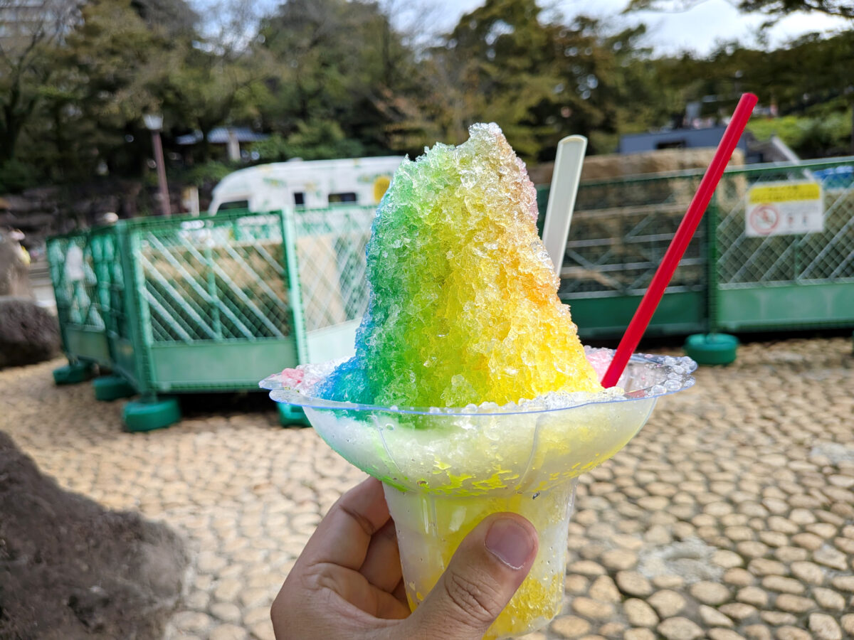 第4回 飛鳥山ハワイフェスティバル