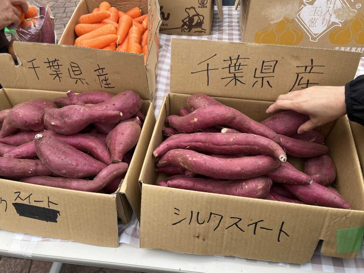 ララガーデン川口 野菜詰め放題