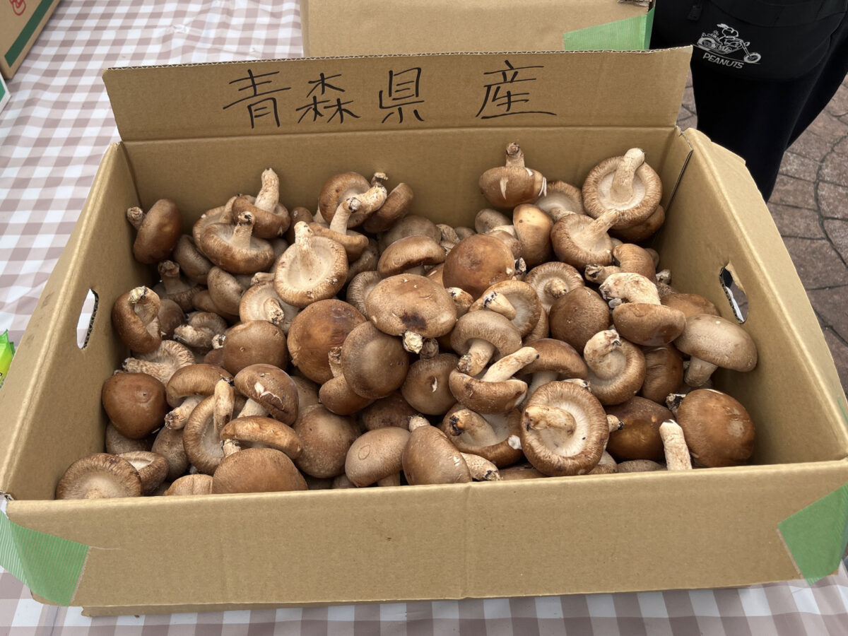 ララガーデン川口 野菜詰め放題