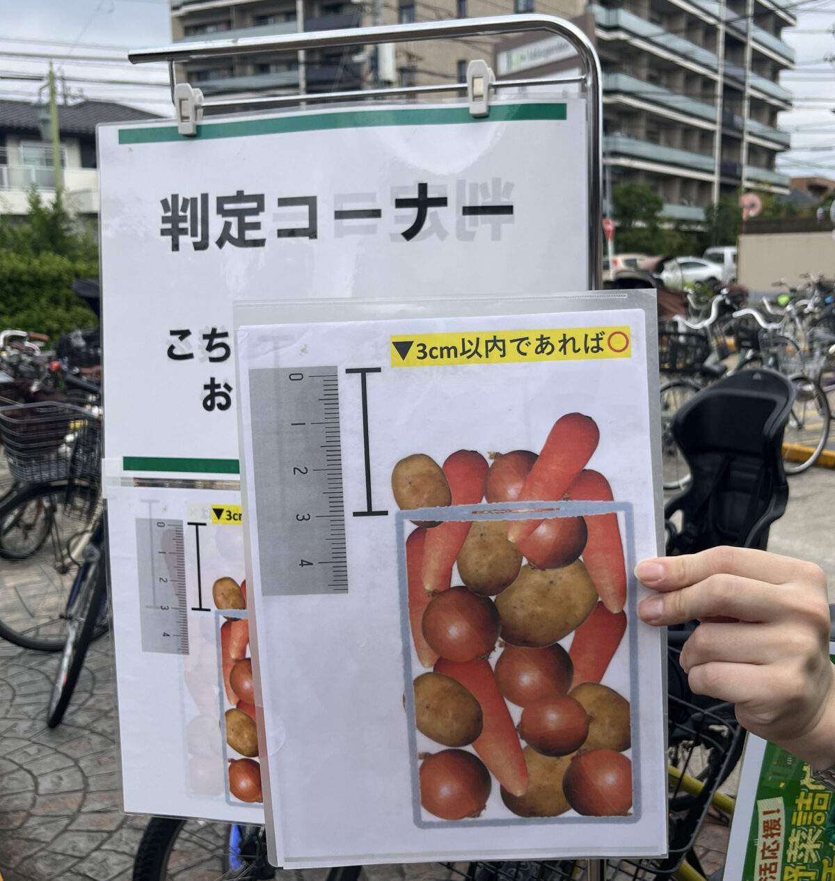 ララガーデン川口 野菜詰め放題