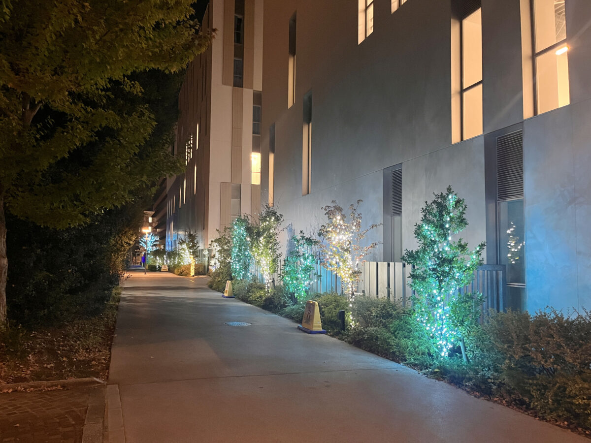 東洋大学 イルミネーション