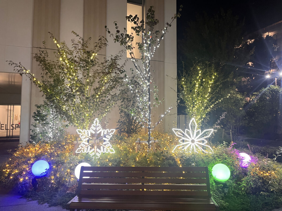 東洋大学 イルミネーション