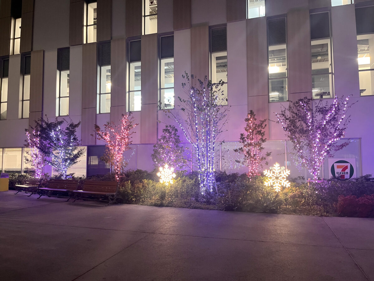 東洋大学 イルミネーション