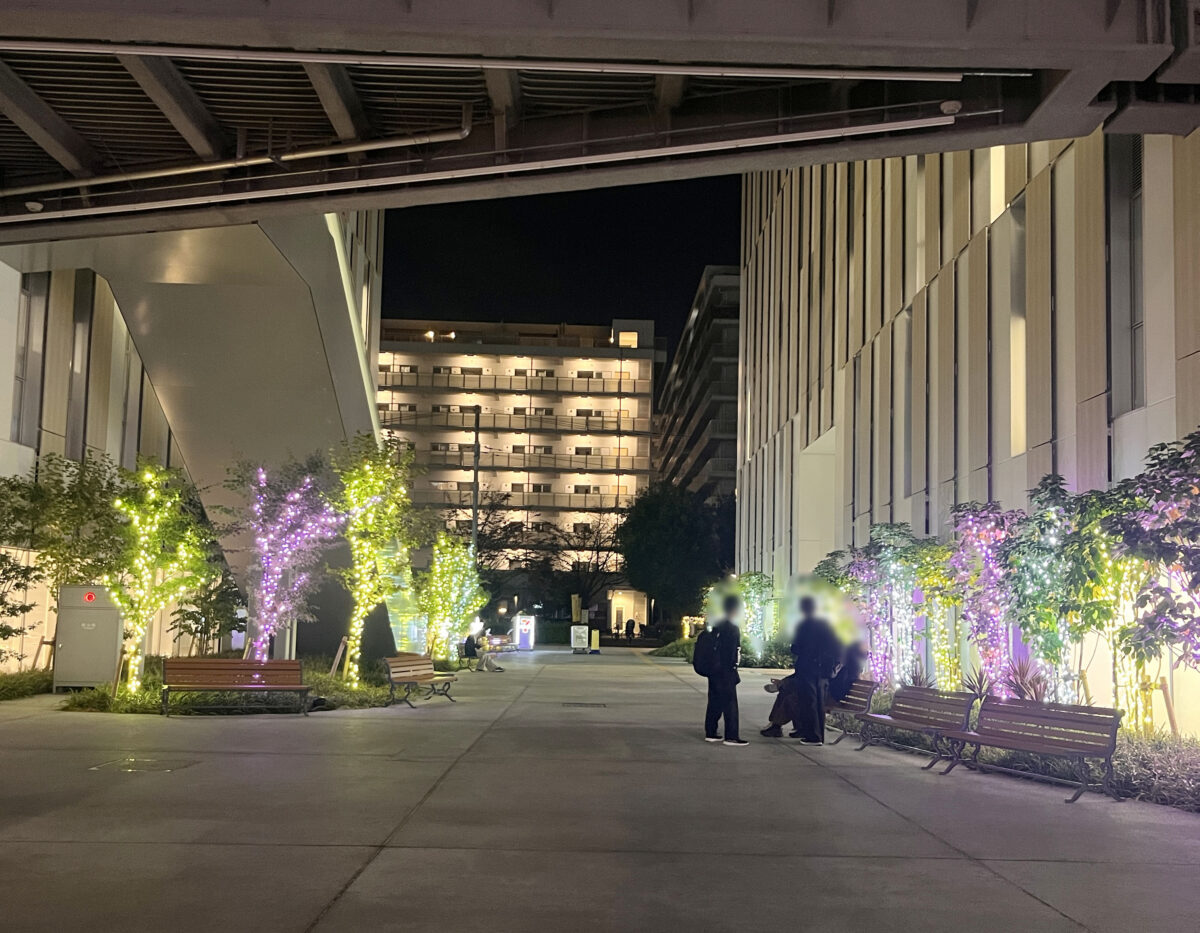 東洋大学 イルミネーション