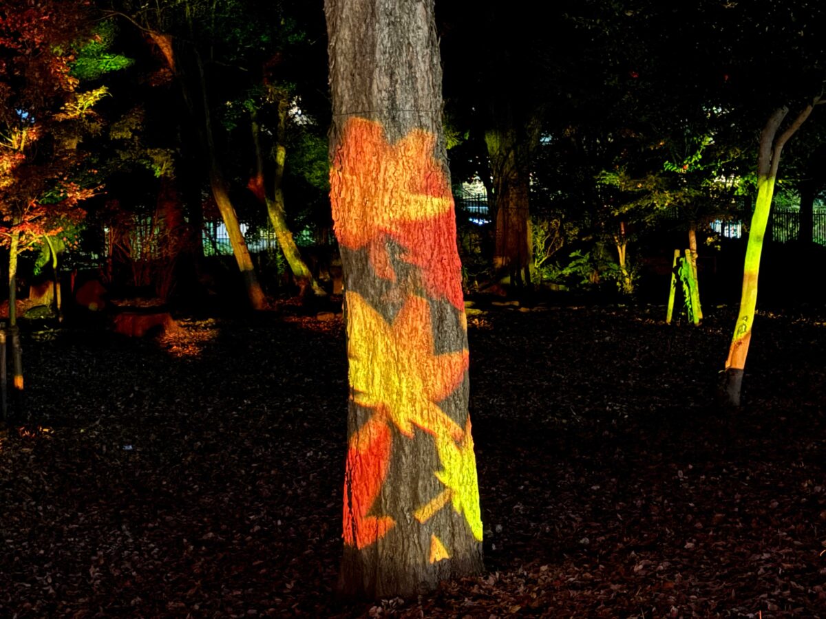 飛鳥山秋の紅葉ライトアップ〜ひかりに染まる秋夜〜