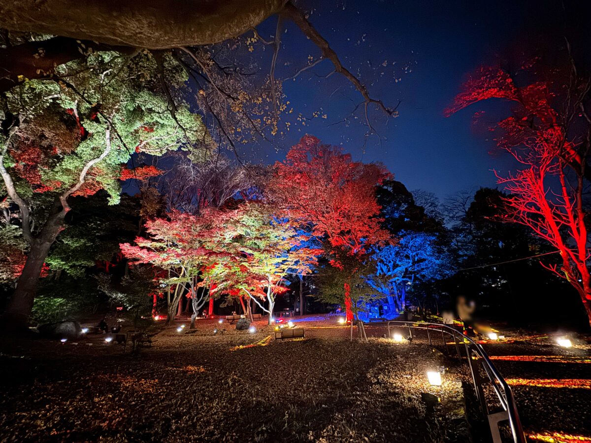 飛鳥山秋の紅葉ライトアップ〜ひかりに染まる秋夜〜