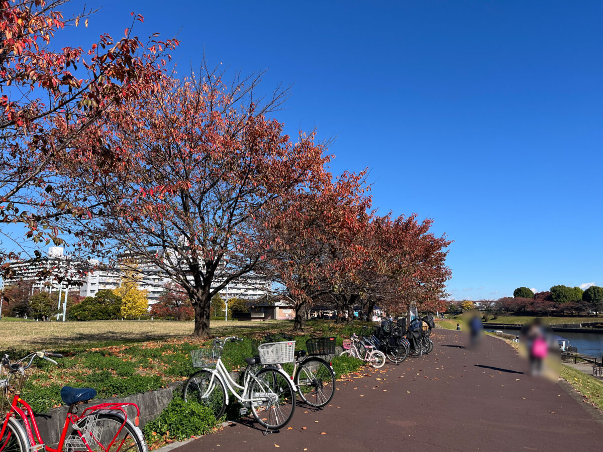 すみだがわオープンテラス2025