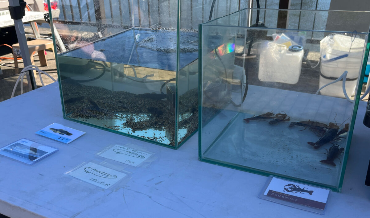 すみだがわオープンテラス2025