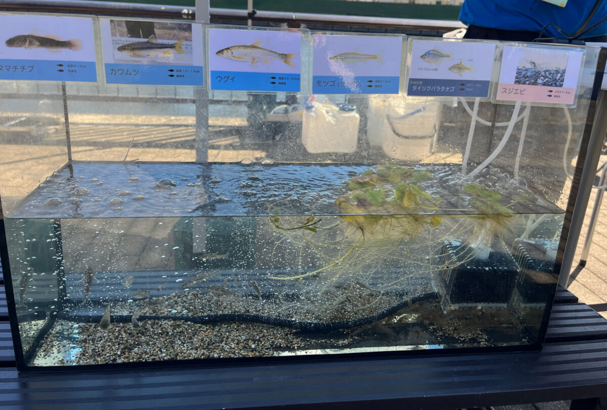 すみだがわオープンテラス2025