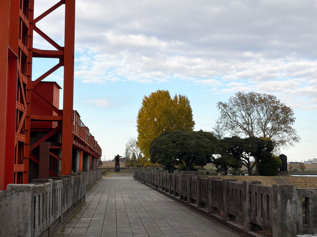 中之島 大イチョウ