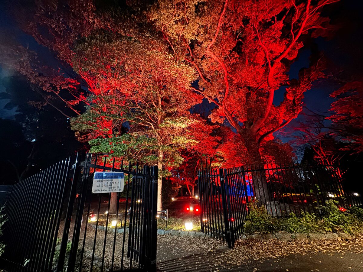 飛鳥山秋の紅葉ライトアップ〜ひかりに染まる秋夜〜