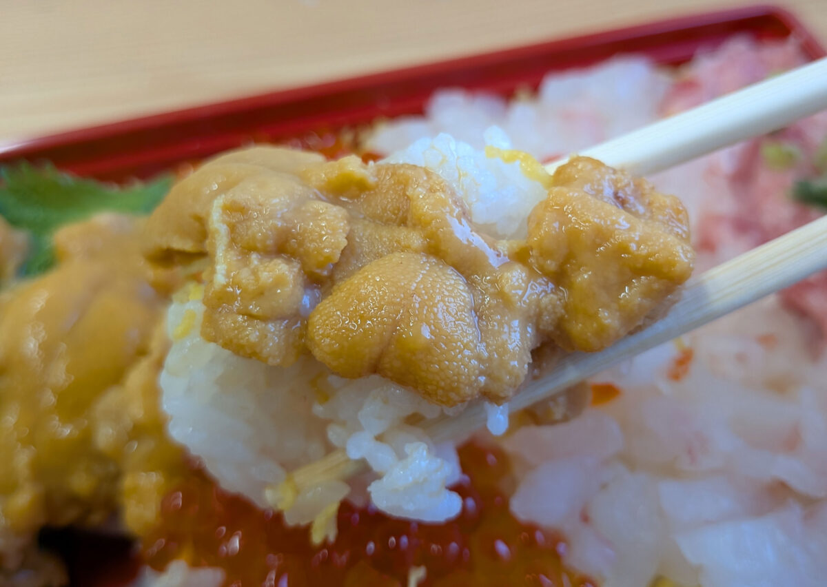 角上魚類 四色丼