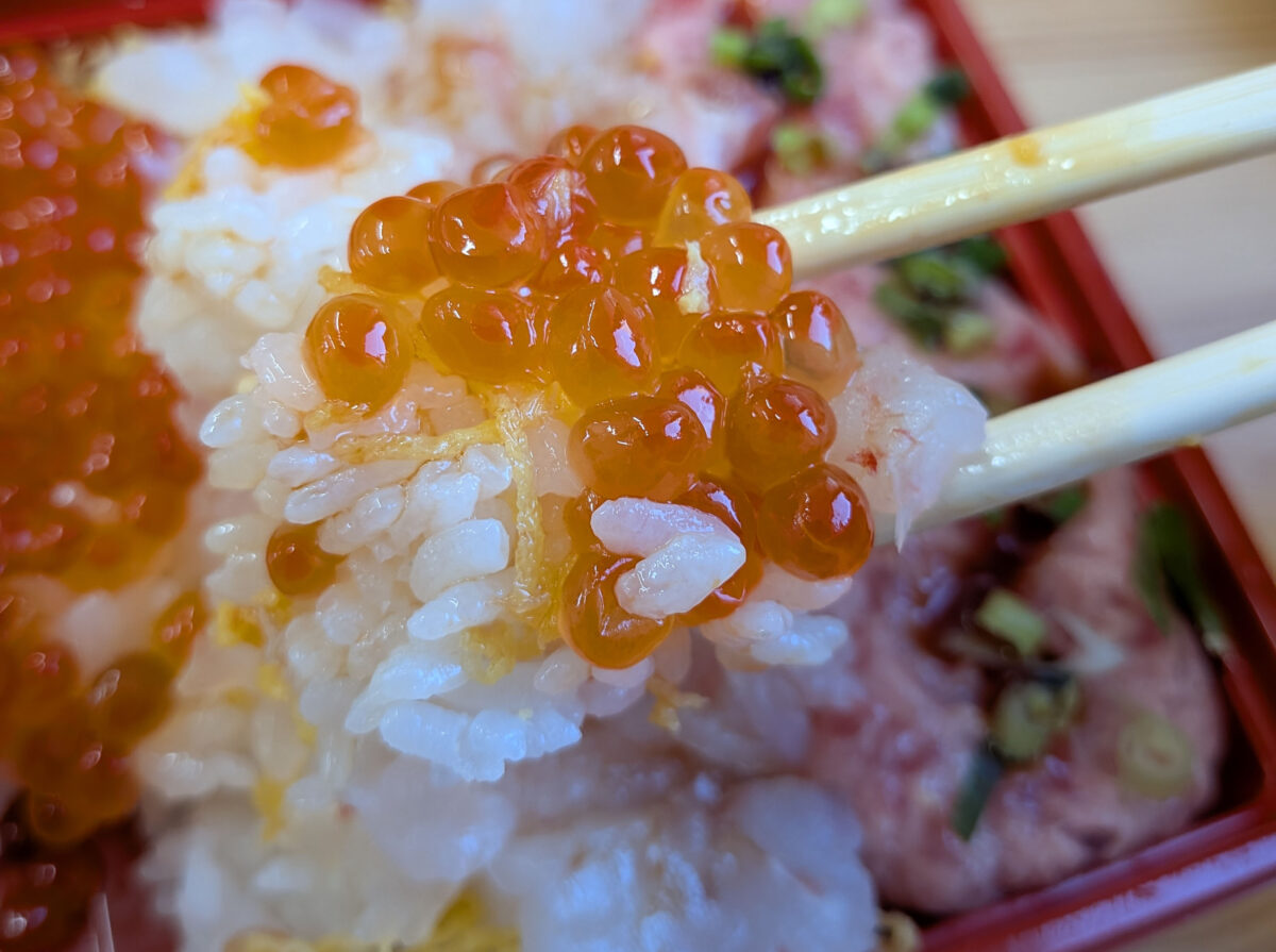 角上魚類 四色丼