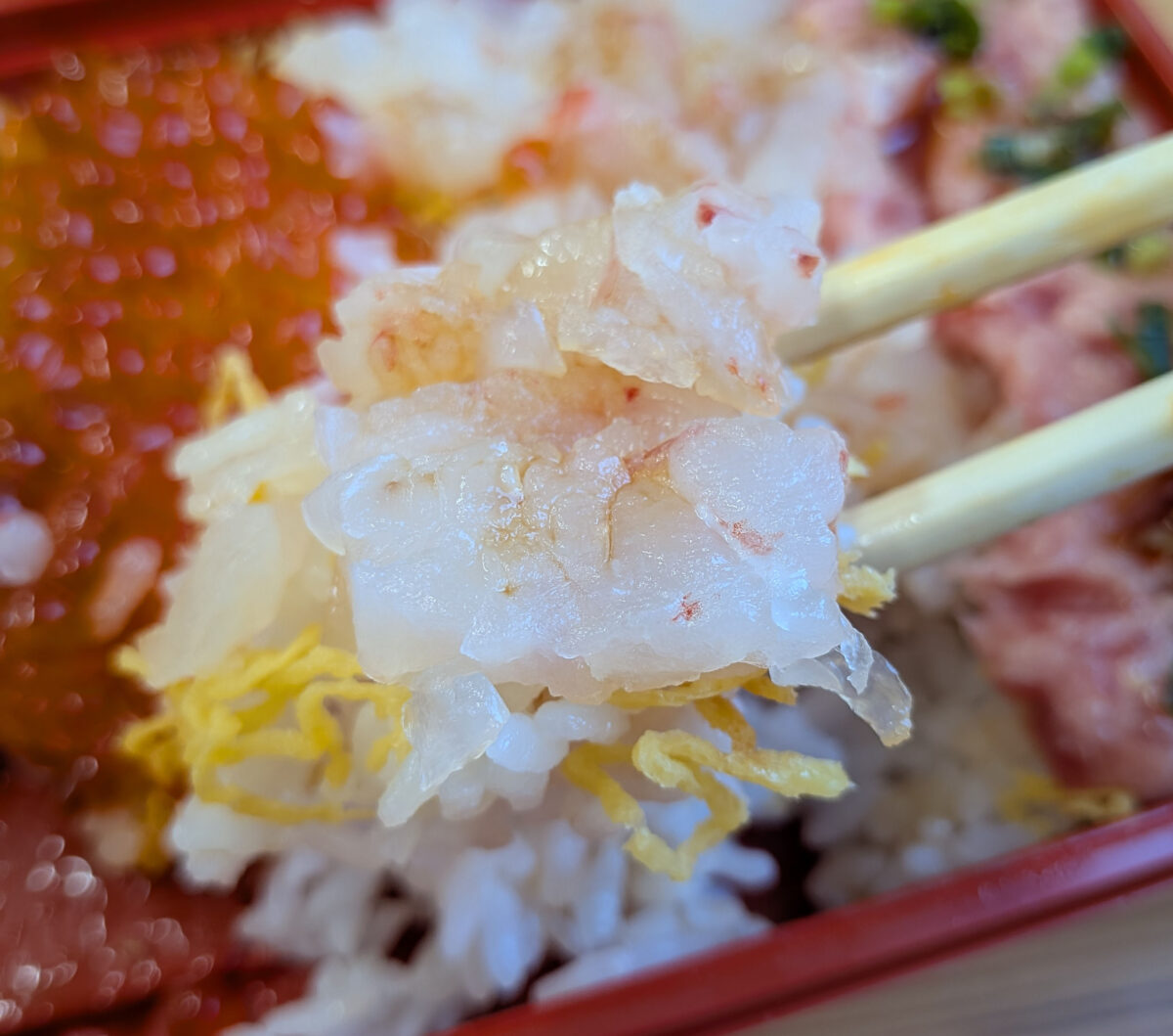 角上魚類 四色丼