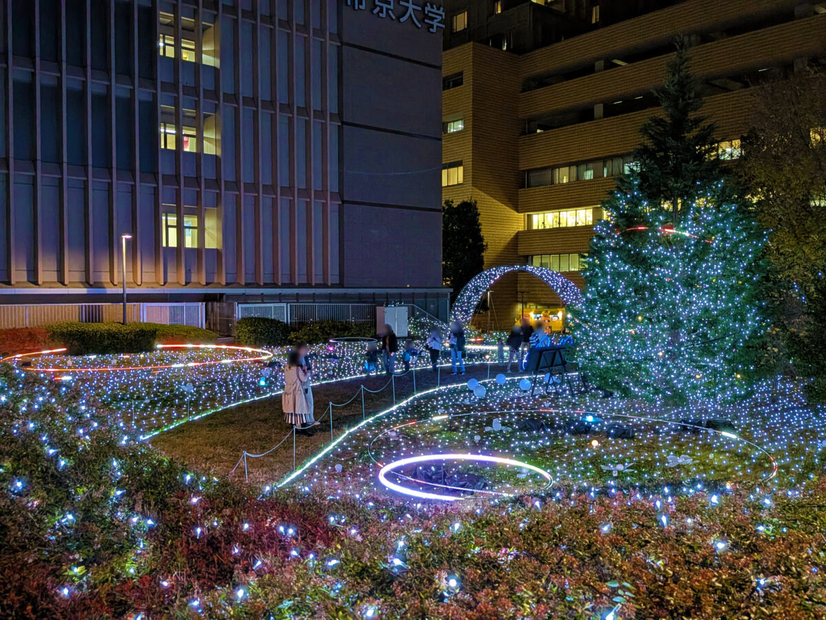 帝京大学 板橋キャンパス イルミネーション