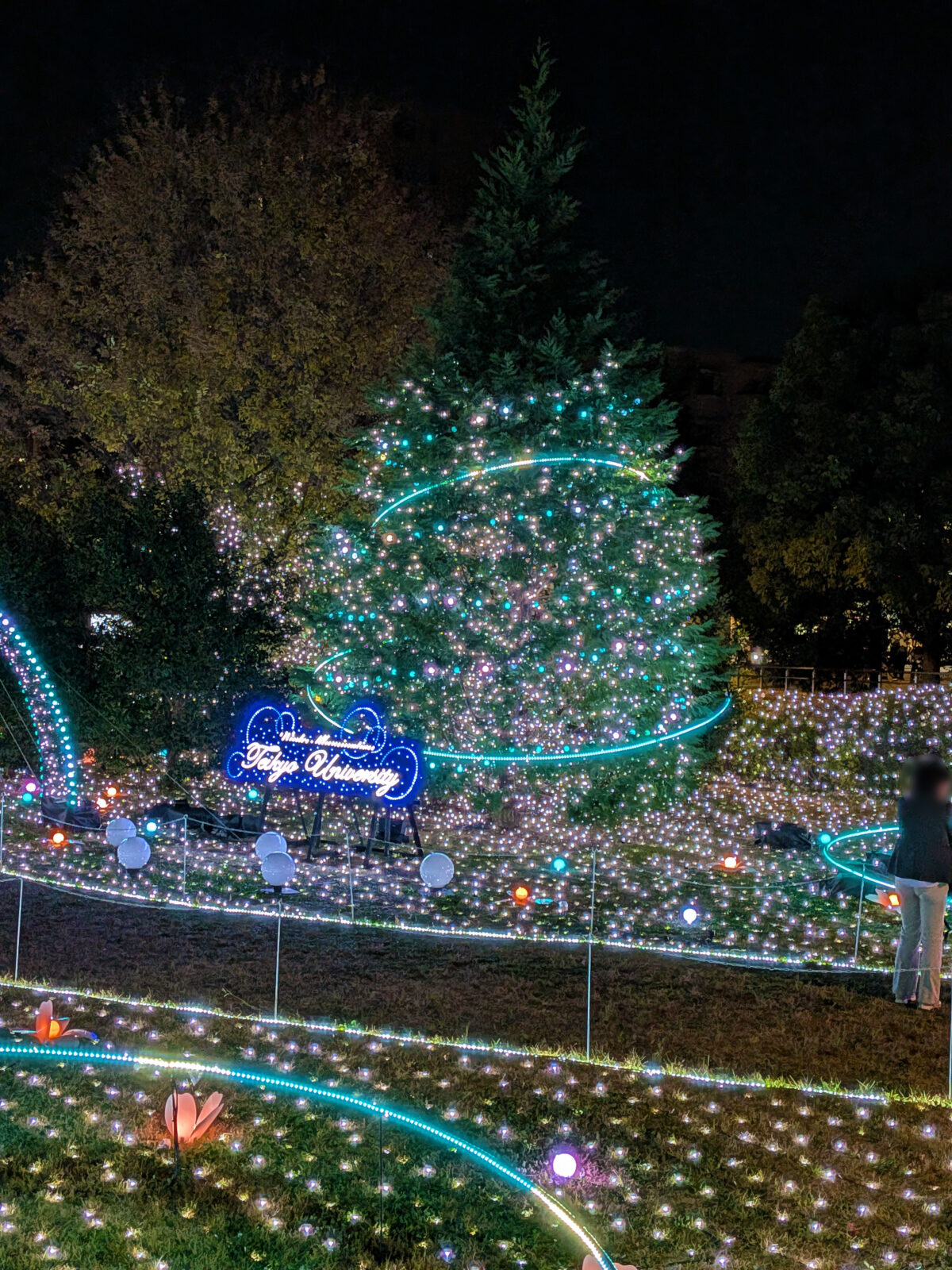 帝京大学 板橋キャンパス イルミネーション