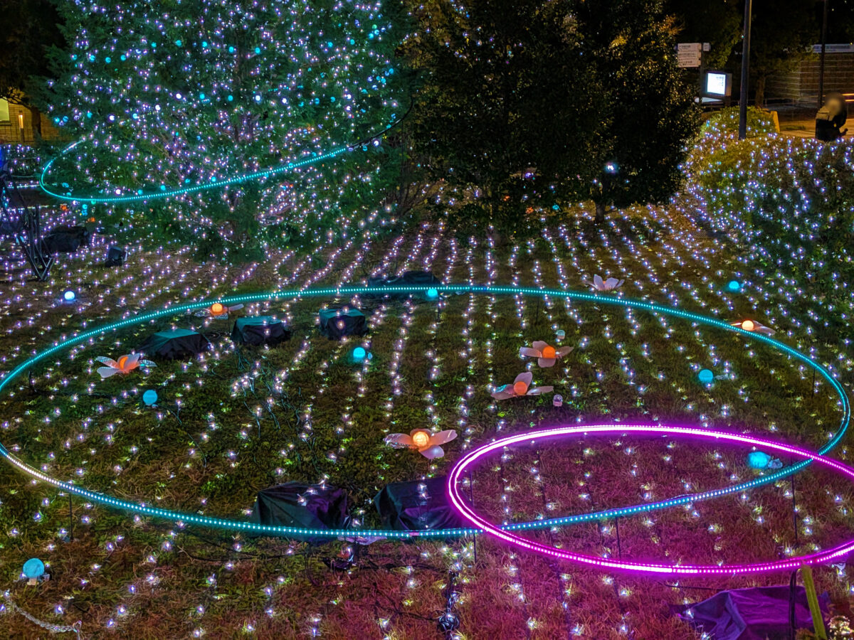 帝京大学 板橋キャンパス イルミネーション