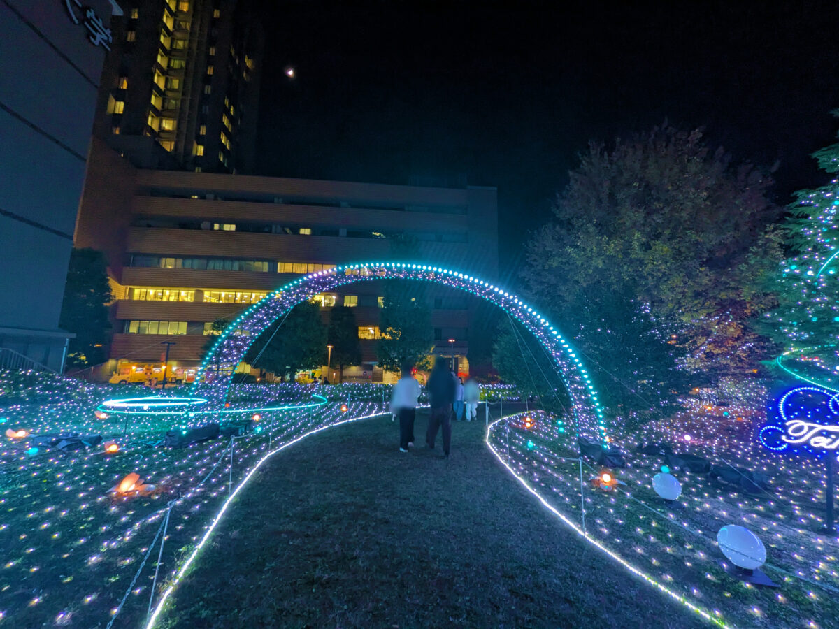 帝京大学 板橋キャンパス イルミネーション